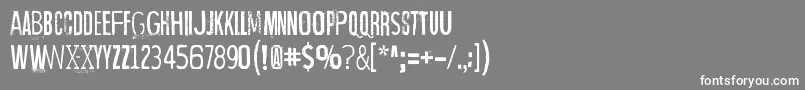 フォントWrongTimeRightPlace – 灰色の背景に白い文字