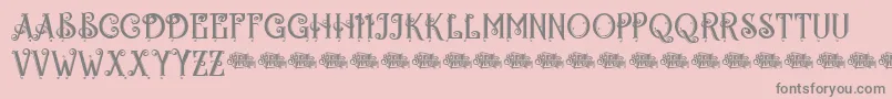 Egorycastlepersonal Font – Gray Fonts on Pink Background