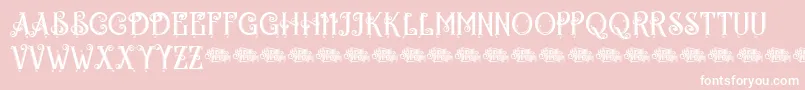 Egorycastlepersonal Font – White Fonts on Pink Background