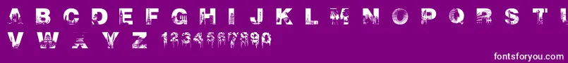 CityscapeFont Font – White Fonts on Purple Background