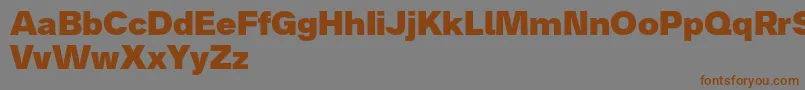Analogue85black Font – Brown Fonts on Gray Background