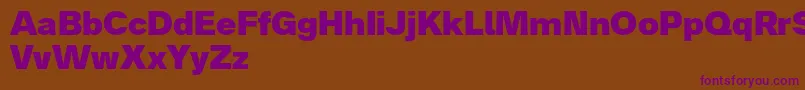 Analogue85black Font – Purple Fonts on Brown Background