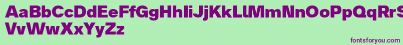 Analogue85black Font – Purple Fonts on Green Background