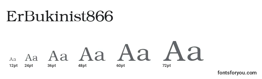Размеры шрифта ErBukinist866