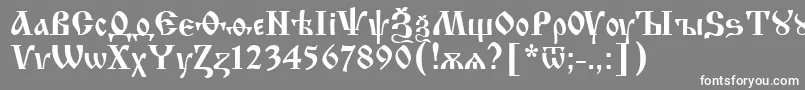 Weitere Informationen zur Izhitsa.Kz-Schriftart Izhitsa.Kz-Schriftart – Weiße Schriften auf grauem Hintergrund