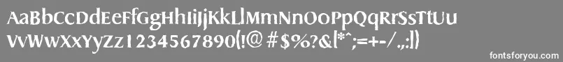 DragonantiqueBold Font – White Fonts on Gray Background