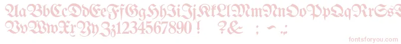 More about ProclamateLight Font ProclamateLight Font – Pink Fonts on White Background