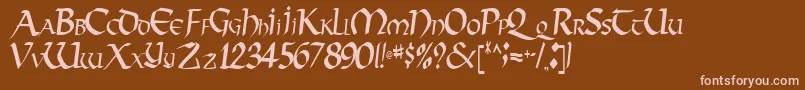 VectorRegular Font – Pink Fonts on Brown Background