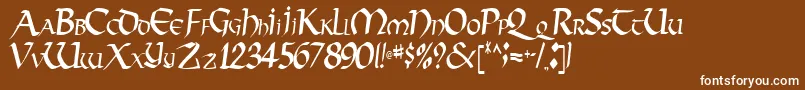 VectorRegular Font – White Fonts on Brown Background