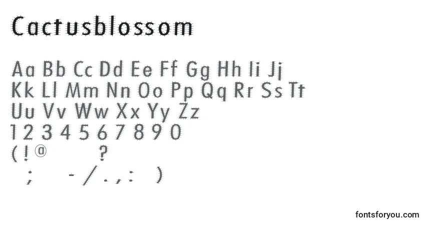 Czcionka Cactusblossom – alfabet, cyfry, specjalne znaki