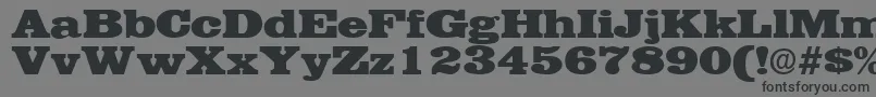 フォントEgyptianRegular – 黒い文字の灰色の背景
