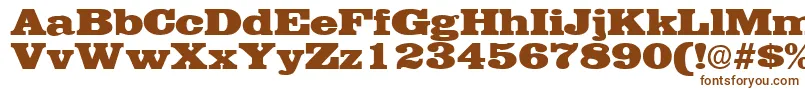 Шрифт EgyptianRegular – коричневые шрифты на белом фоне