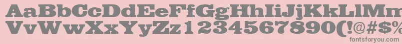 EgyptianRegular Font – Gray Fonts on Pink Background