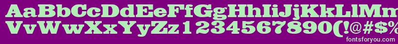 EgyptianRegular Font – Green Fonts on Purple Background