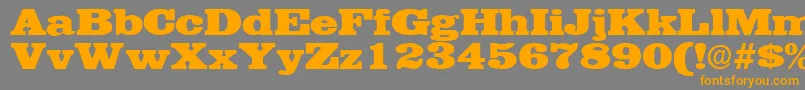 EgyptianRegular Font – Orange Fonts on Gray Background