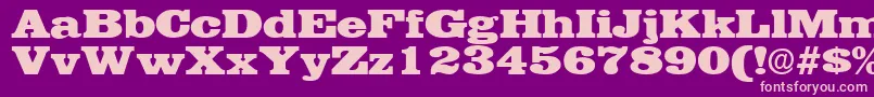 EgyptianRegular Font – Pink Fonts on Purple Background