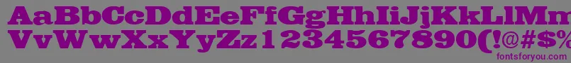 Шрифт EgyptianRegular – фиолетовые шрифты на сером фоне