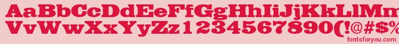 EgyptianRegular Font – Red Fonts on Pink Background