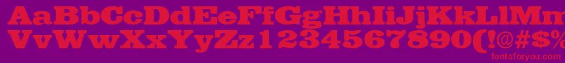 EgyptianRegular Font – Red Fonts on Purple Background