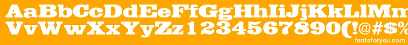 EgyptianRegular Font – White Fonts on Orange Background