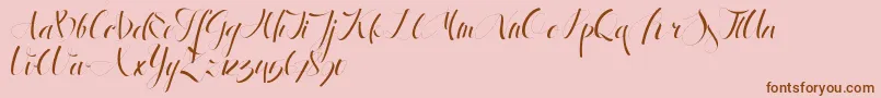 AntrokasDemo Font – Brown Fonts on Pink Background