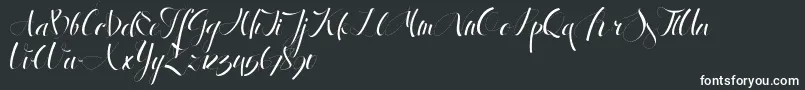 AntrokasDemo-fontti – valkoiset fontit mustalla taustalla