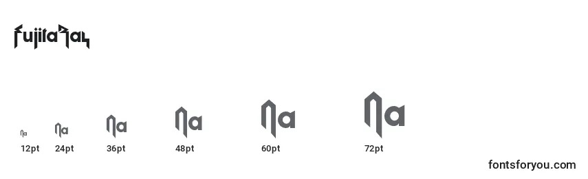 FujitaRay Font Sizes