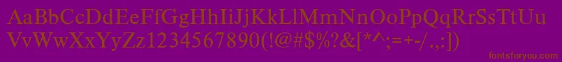 Timelesstcylig Font – Brown Fonts on Purple Background