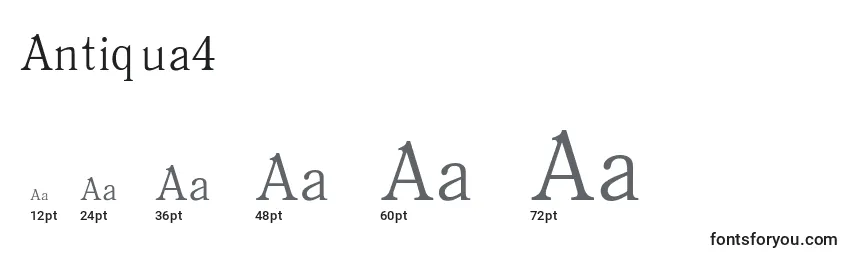Antiqua4 Font Sizes