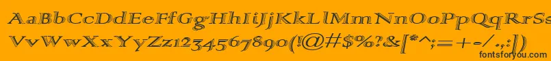 Alpharev Font – Black Fonts on Orange Background