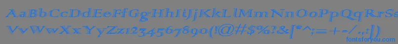 Alpharev Font – Blue Fonts on Gray Background