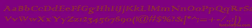 Alpharev Font – Brown Fonts on Purple Background