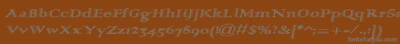 フォントAlpharev – 茶色の背景に灰色の文字