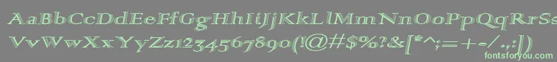 Weitere Informationen zur Alpharev-Schriftart Alpharev-Schriftart – Grüne Schriften auf grauem Hintergrund