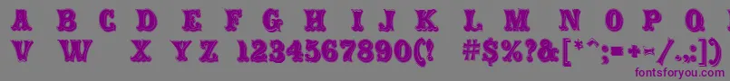 フォントCarnivalRimmed – 紫色のフォント、灰色の背景