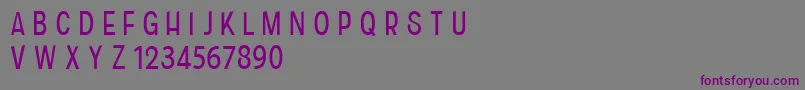 CfhistoriaRegular Font – Purple Fonts on Gray Background