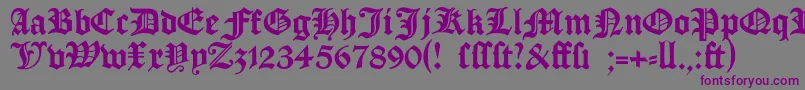 Czcionka Manuskriptgotisch – fioletowe czcionki na szarym tle