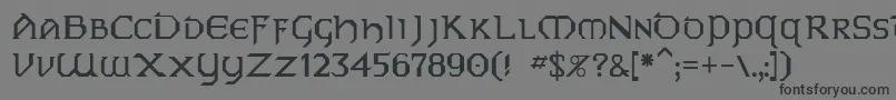 Vaip Font – Black Fonts on Gray Background