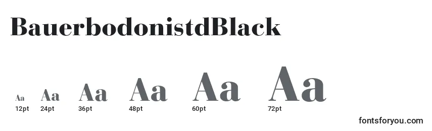 BauerbodonistdBlack Font Sizes