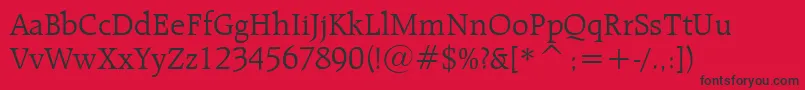 RaleighLightBt-Schriftart – Schwarze Schriften auf rotem Hintergrund