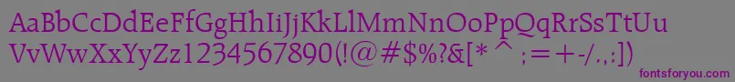 RaleighLightBt Font – Purple Fonts on Gray Background
