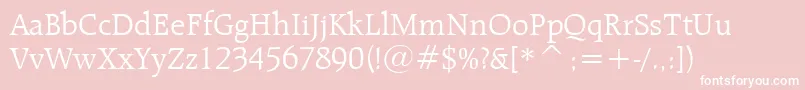 RaleighLightBt Font – White Fonts on Pink Background