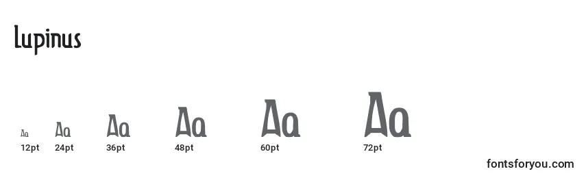 Размеры шрифта Lupinus