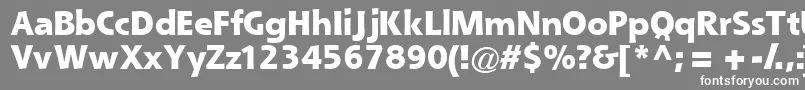 Queblackssk-fontti – valkoiset fontit harmaalla taustalla