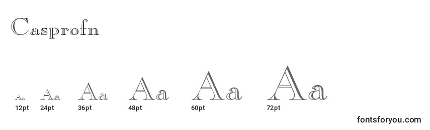 Размеры шрифта Casprofn