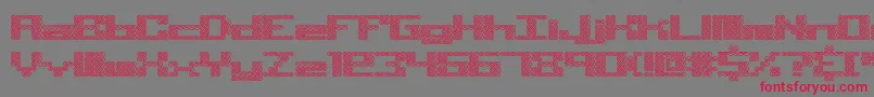 Knot Font – Red Fonts on Gray Background