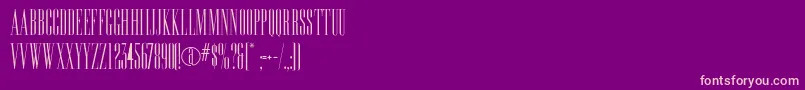 Edition Font – Pink Fonts on Purple Background
