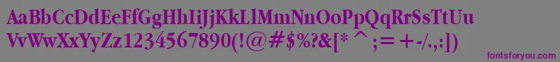 Applegaramond ffy Font – Purple Fonts on Gray Background