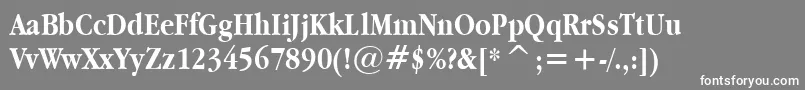 フォントApplegaramond ffy – 灰色の背景に白い文字
