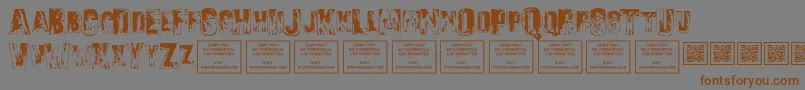 Fonte SonsofnoahRegular – fontes marrons em um fundo cinza